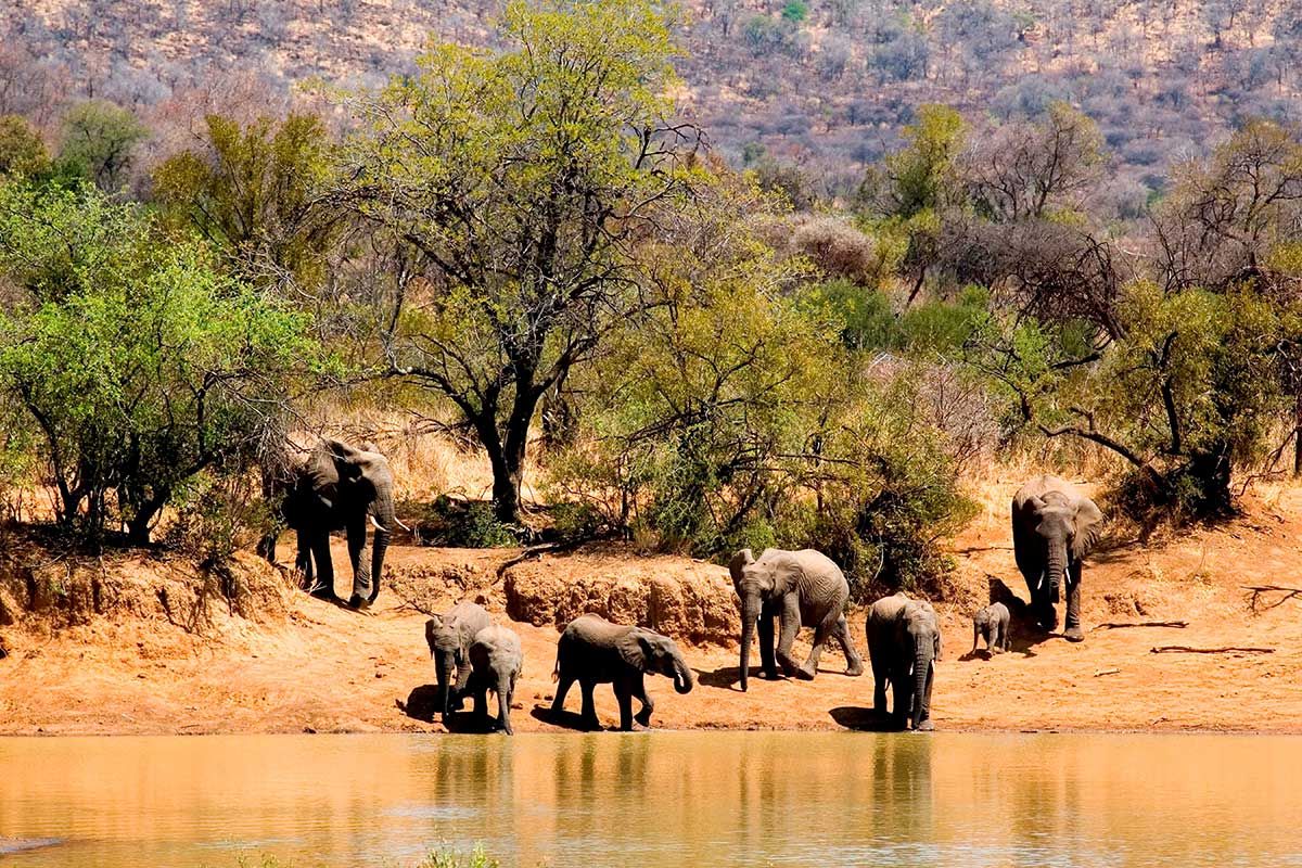 Circuit Inoubliable Tanzanie 3* pas cher photo 7