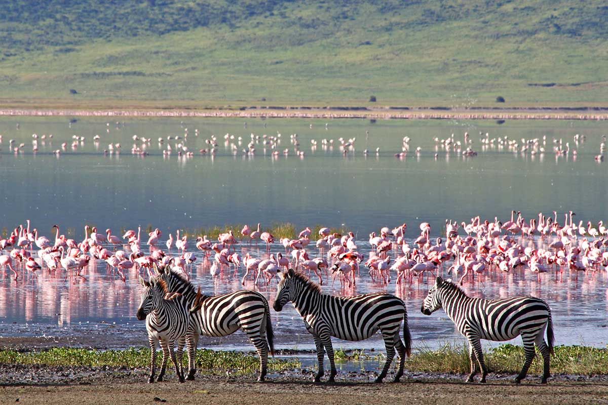 Circuit Inoubliable Tanzanie 3* pas cher