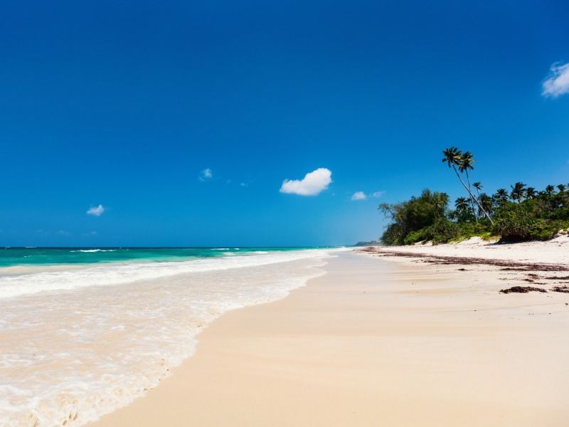 Safari Punda Milia de Nairobi à Mombasa 3* pas cher photo 5