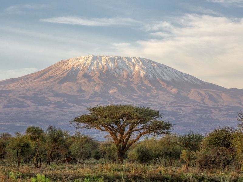 Safari Punda Milia de Nairobi à Mombasa 3* pas cher photo 10