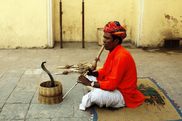 Circuit Charmes de l'Inde du Sud 3-4* pas cher photo 4