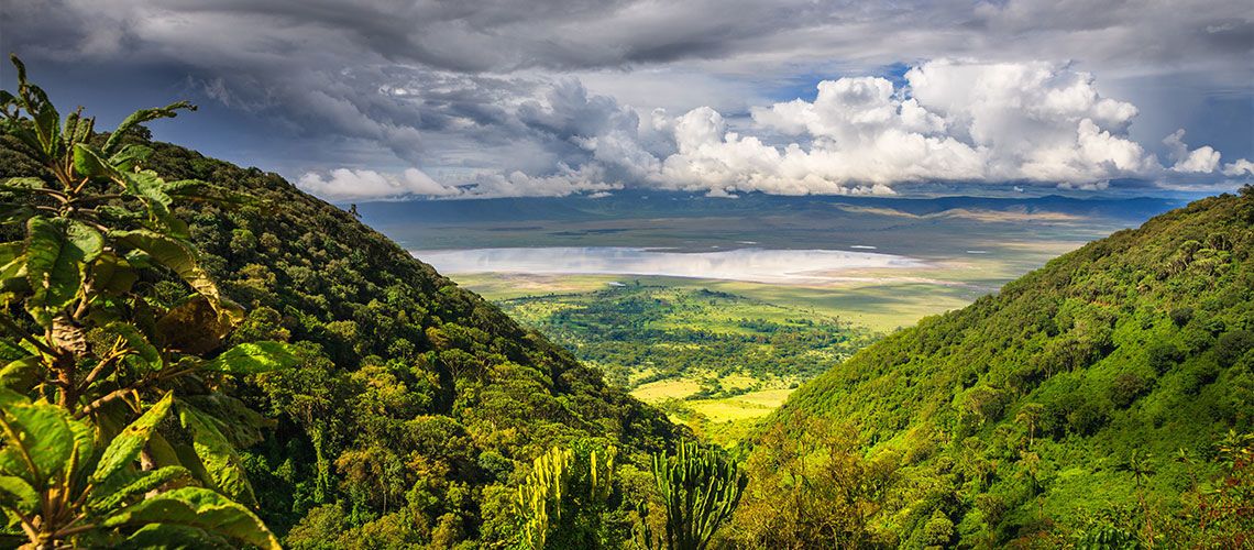 Safaris Ngorongoro, Tarangire et Manyara et Séjour Kappa Club Waridi Beach Resort & Spa 4* pas cher photo 11