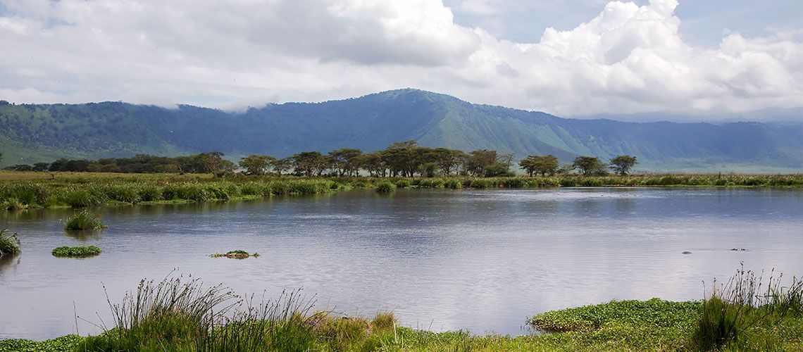 Safaris Ngorongoro, Tarangire et Manyara et Séjour Kappa Club Waridi Beach Resort & Spa 4* pas cher photo 12