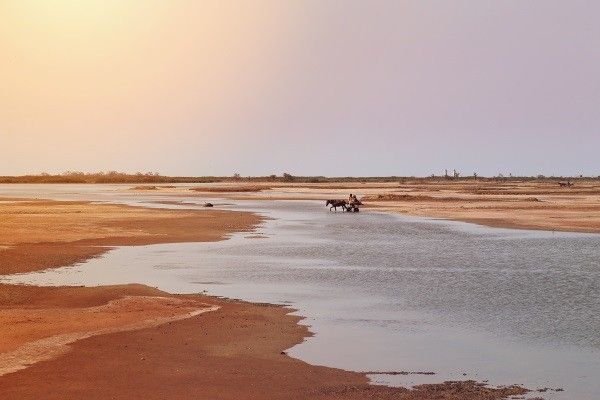Circuit Beautés du Sénégal et Balade avec les lions de Fathala 3*/4* pas cher photo 2