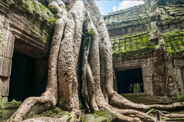Circuit Lotus du Cambodge et Plage à Sihanoukville 3* pas cher photo 8