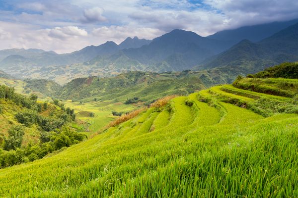 Circuit Des Rizières de Sapa à la Baie d'Halong 3* pas cher photo 21