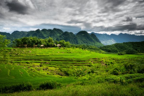 Circuit Des Rizières de Mai Chau à la Baie d'Halong 3* pas cher photo 10
