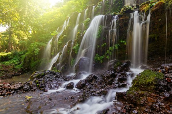 Circuit Bali Authentique 4* pas cher photo 16