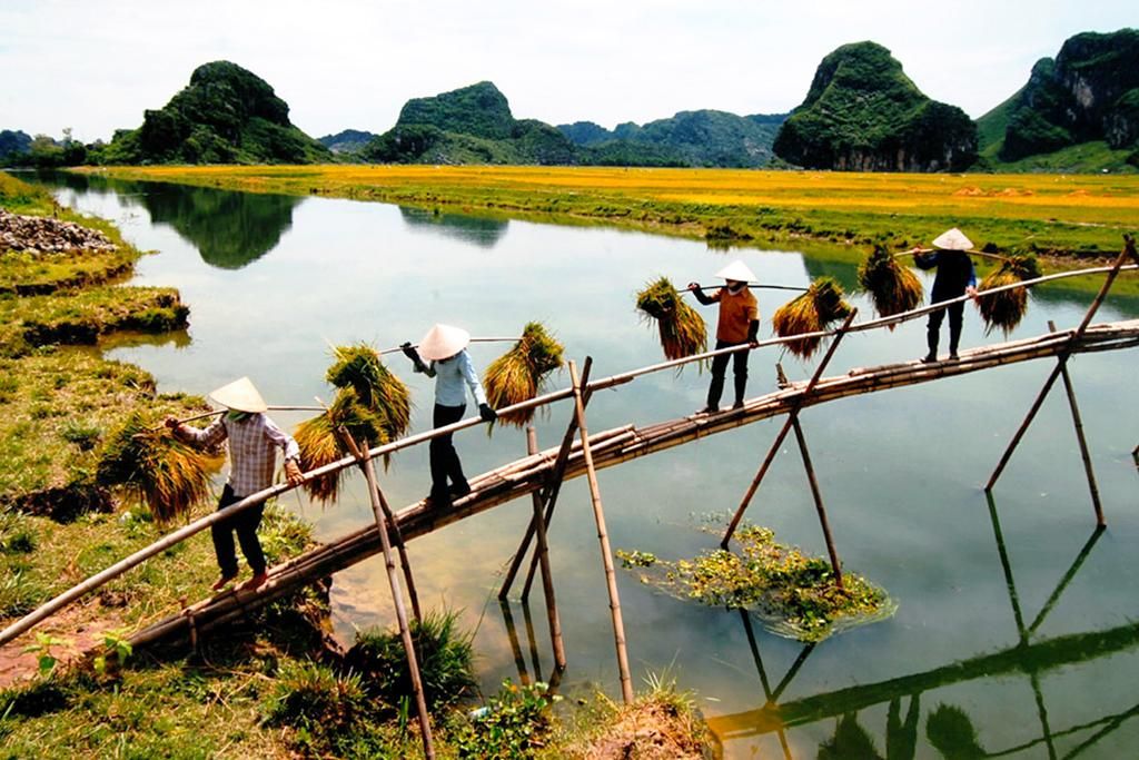 Circuit beauté du Nord Vietnam 7 nuits - Petit groupe pas cher photo 11