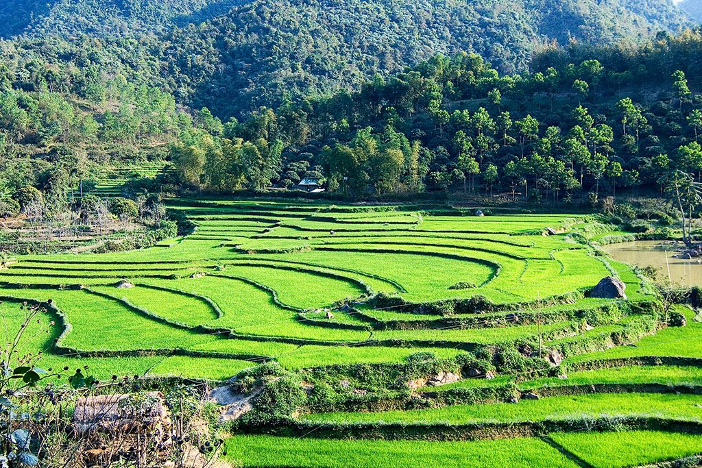 Circuit Authentique du Nord Vietnam 10 nuits - Petit groupe pas cher photo 10