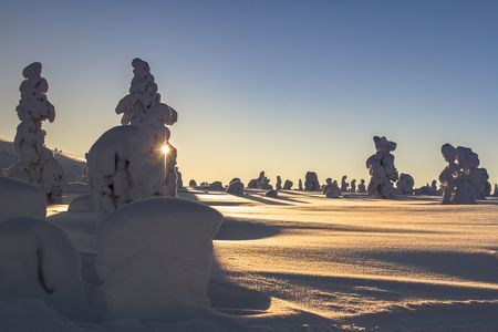 Circuit Splendeurs de la Laponie Finlandaise 4* pas cher photo 10