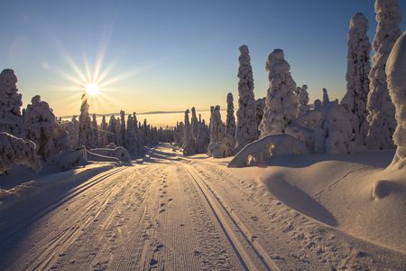 Circuit Splendeurs de la Laponie Finlandaise 4* pas cher photo 3