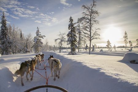 Circuit Splendeurs de la Laponie Finlandaise 4* pas cher photo 4