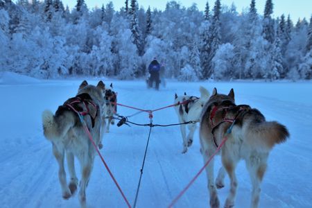 Circuit Splendeurs de la Laponie Finlandaise 4* pas cher photo 6