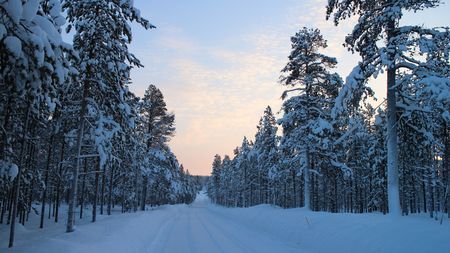 Circuit Splendeurs de la Laponie Finlandaise 4* pas cher photo 7