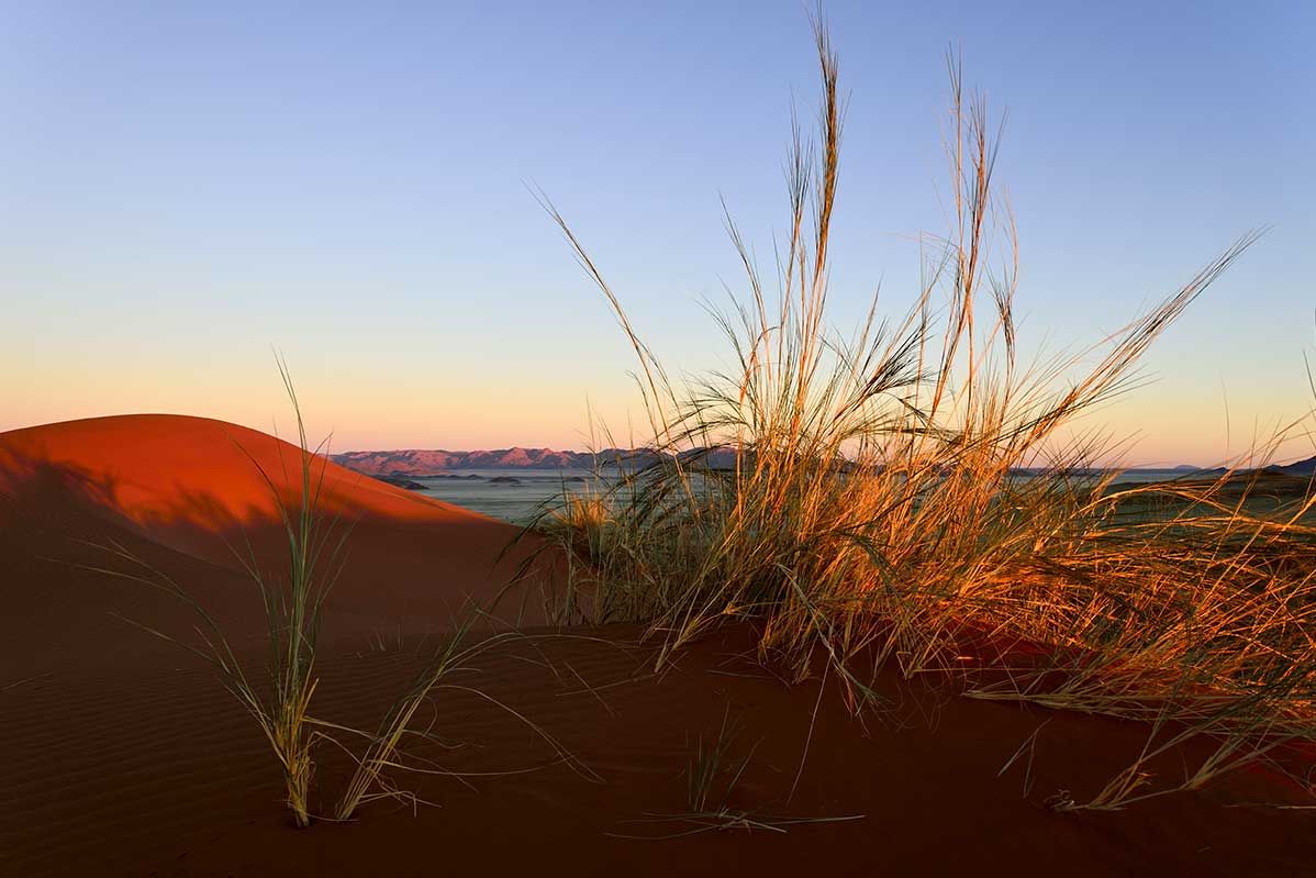 Autotour Dunes et Désert Namibiens 2*-3* pas cher photo 15