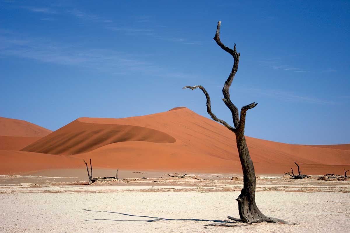 Autotour Dunes et Désert Namibiens 2*-3* pas cher photo 1