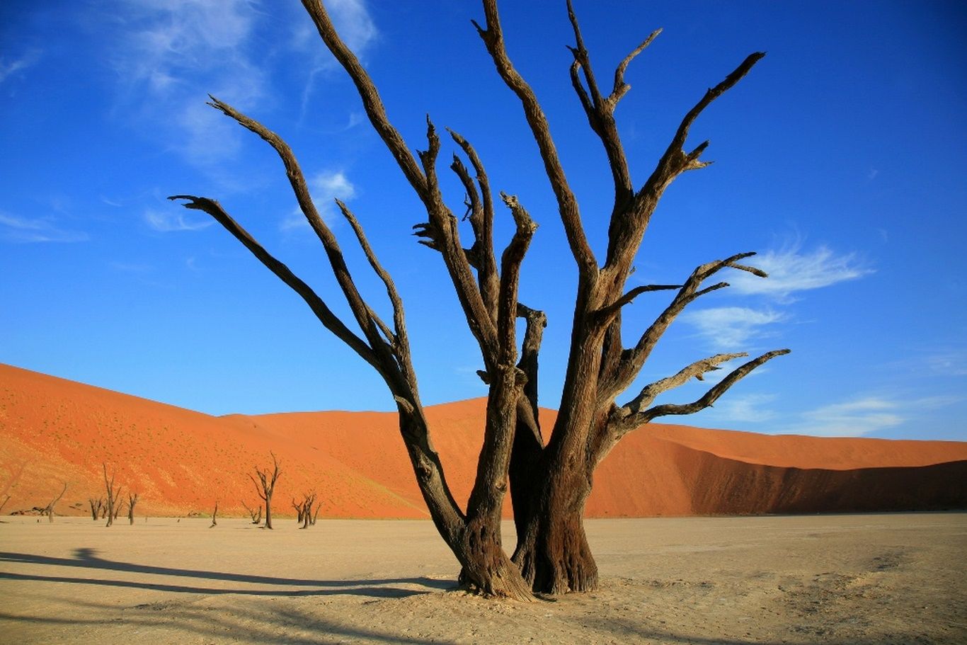 Circuit Couleurs de Namibie 3* pas cher photo 1