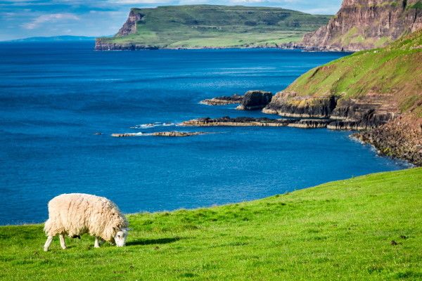 Circuit Balade Ecossaise 3* pas cher photo 10