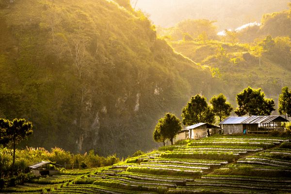 Circuit Trésors de Thaïlande et séjour à Phuket 5* pas cher photo 13