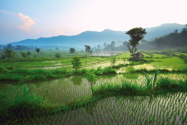 Circuit Grand Tour de Thaïlande et séjour à Krabi 4* pas cher photo 16