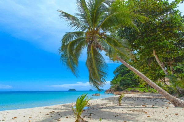 Circuit Trésors de Thaïlande et séjour à Koh Chang 4* pas cher photo 14