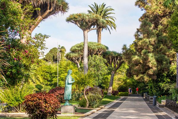 Circuit Trésors des Canaries 4* pas cher photo 13