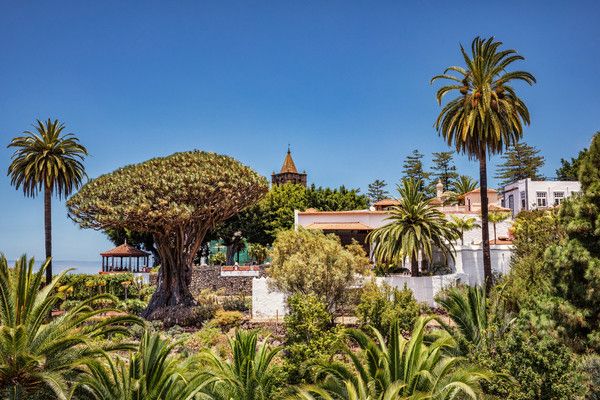 Circuit Trésors des Canaries 4* pas cher photo 16