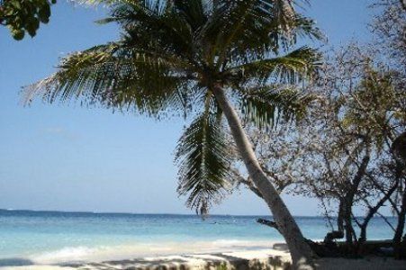 Combiné Club Coralia Hôtel Centara Mirage Beach Resort 4* et Hôtel Embudu Village Resort 3* pas cher photo 12