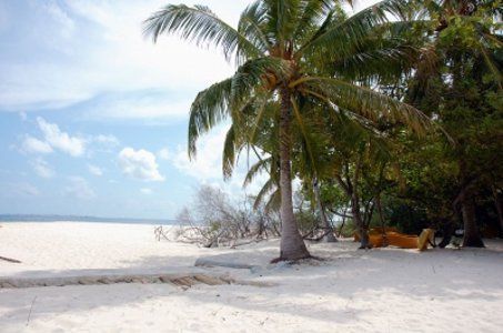 Combiné Hôtel Centara Mirage Beach Resort 4* et Hôtel Embudu Village Resort 3* pas cher photo 1