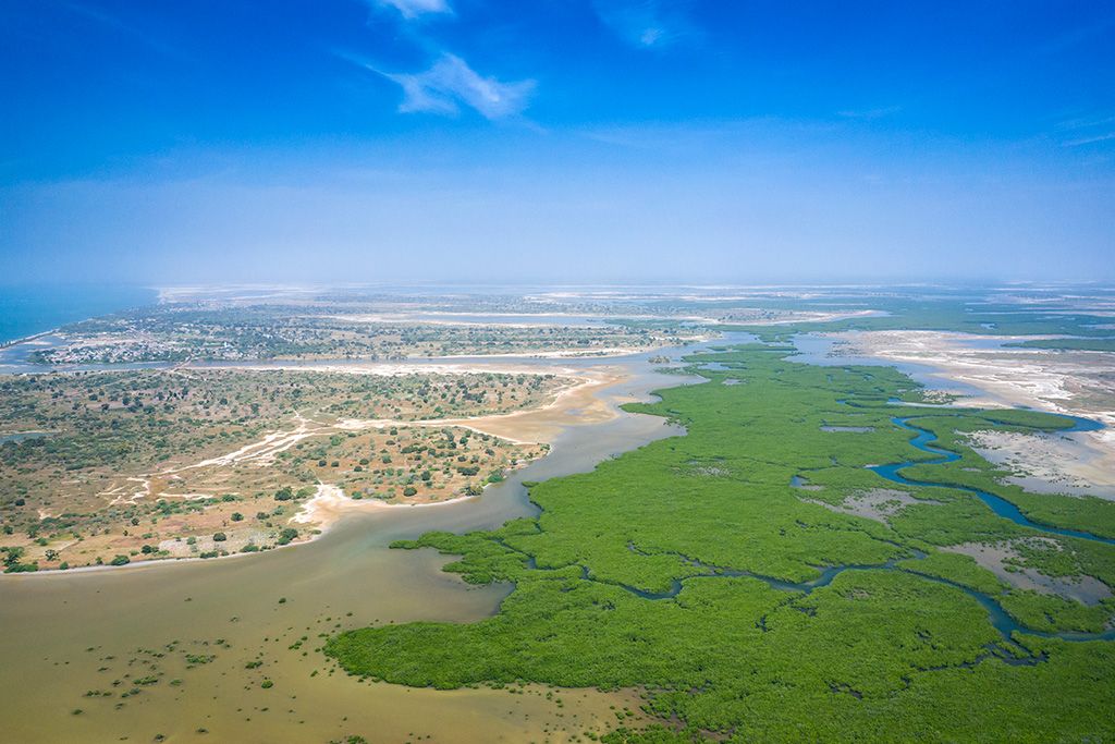 Circuit Découverte de la Mangrove Saloum - Saly 3* pas cher photo 2