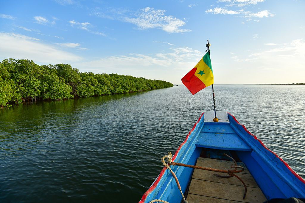 Circuit Découverte de la Mangrove Saloum - Saly 3* pas cher photo 8