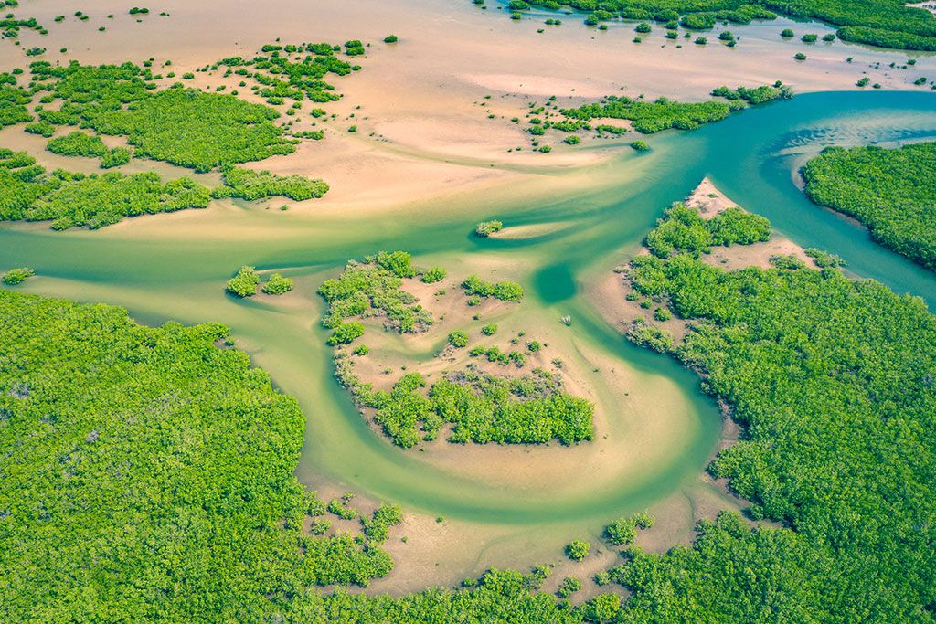 Circuit Découverte de la Mangrove Saloum - Saly 3* pas cher photo 15