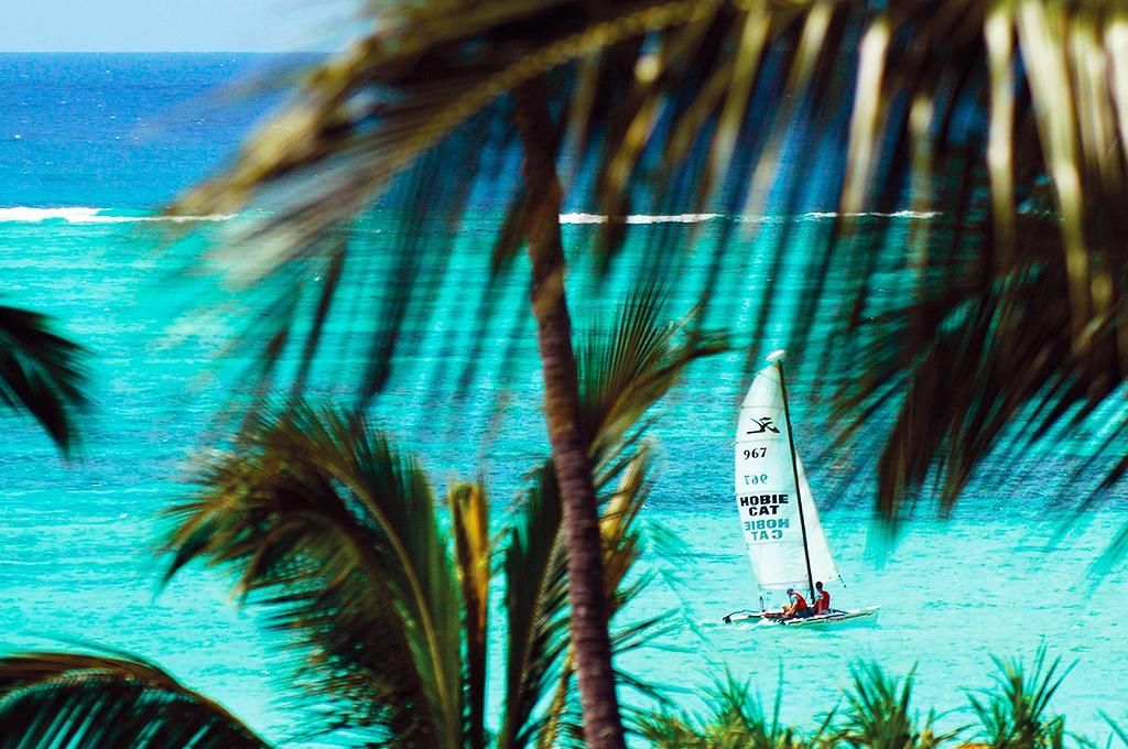 Hôtel Diamonds Mapenzi 4* et Safari 2 nuits pas cher photo 3