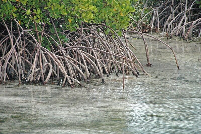 Circuit Casamance Authentique 3* pas cher photo 1