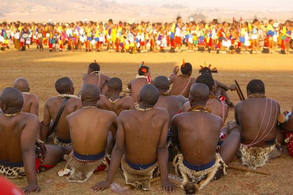 Circuit A la Découverte de l'Afrique du Sud 3* pas cher photo 13