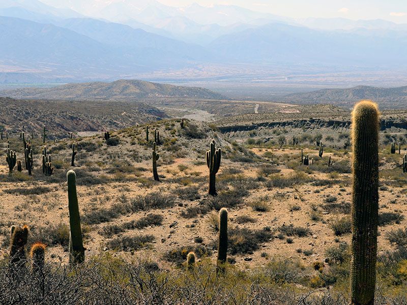 Circuit Découverte du Nord Argentin et de la Patagonie 3*-4* pas cher photo 7