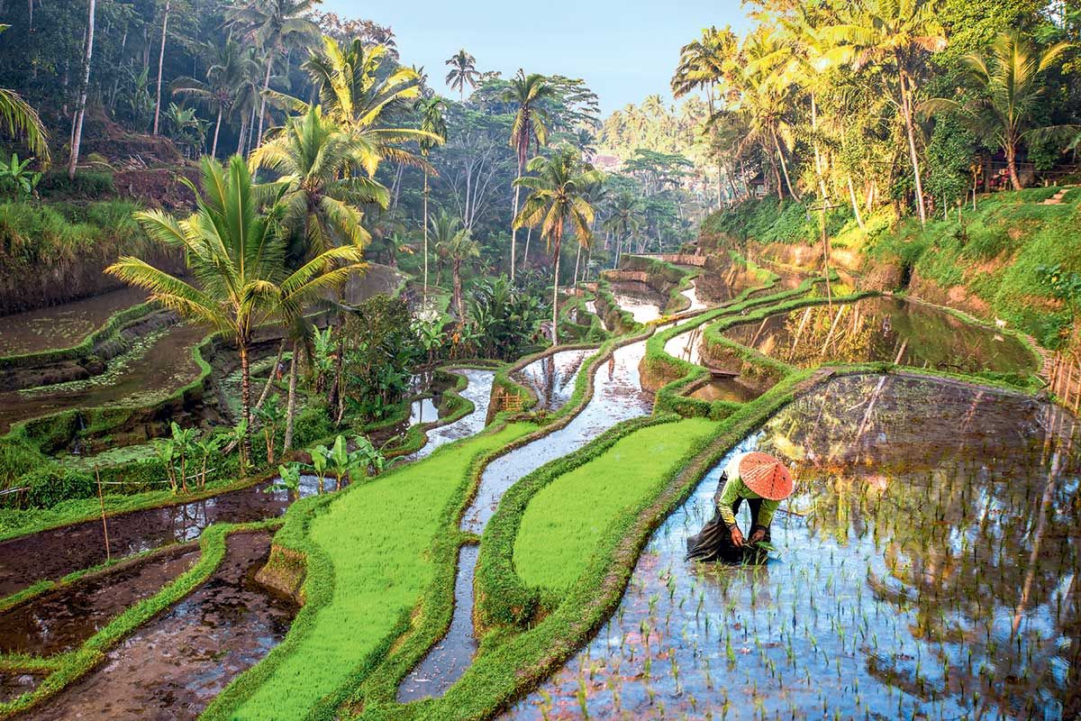 Circuit Bali, l'Ile enchantée et Extension à Sanur 3*- 4* pas cher photo 2