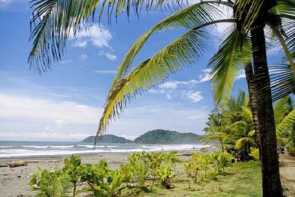 Circuit Beautés du Costa Rica et extension Puntarenas 3* pas cher photo 3