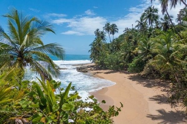 Circuit Des Caraïbes au Pacifique pas cher photo 21