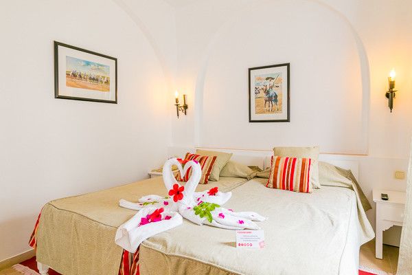 Combiné Framissima Hôtel Royal Karthago et Circuit Désert de Tozeur 4* pas cher photo 7