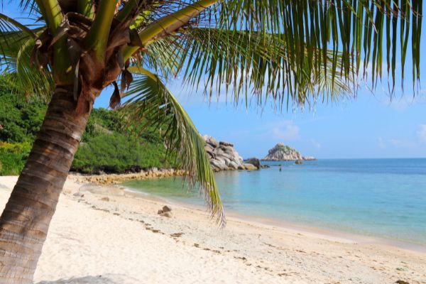 Combiné Koh Tao Koh Phangan et Koh Samui 4* pas cher photo 12