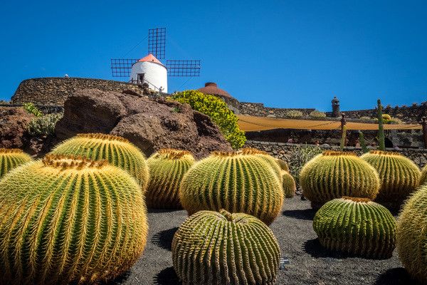 Autotour Sur les Routes de Lanzarote en Liberté 3* pas cher photo 5