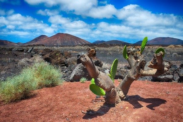 Autotour Sur les Routes de Lanzarote en Liberté 3* pas cher photo 9