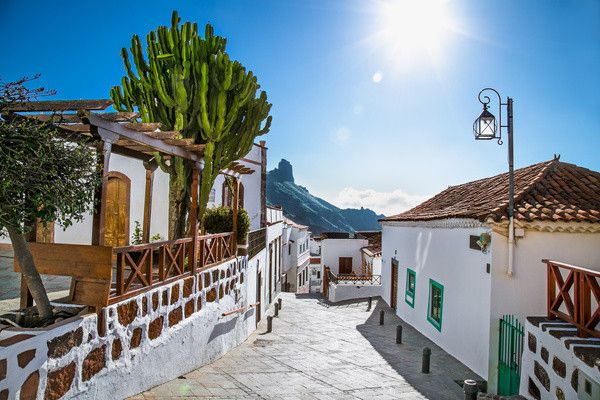 Circuit Beautés Sauvages de Grande Canarie Club Jumbo Hôtel Mogan Princess et Beach Club 4* pas cher photo 8