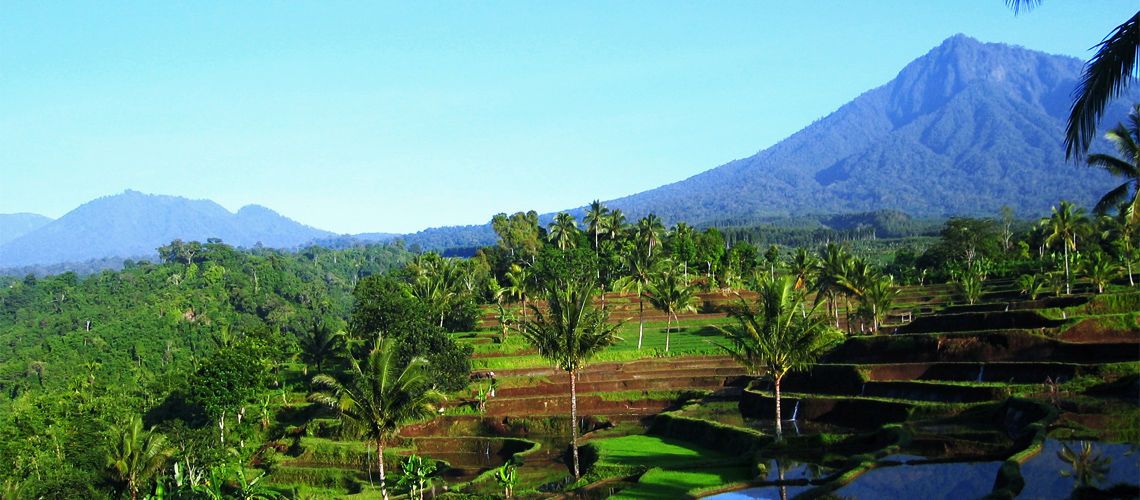 Circuit au Coeur de Bali 3/4* et séjour Hôtel Nusa Dua Beach & Spa 5* pas cher photo 4