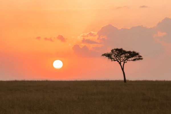 Circuit Tanzanie Authentique 3*-4* pas cher photo 22