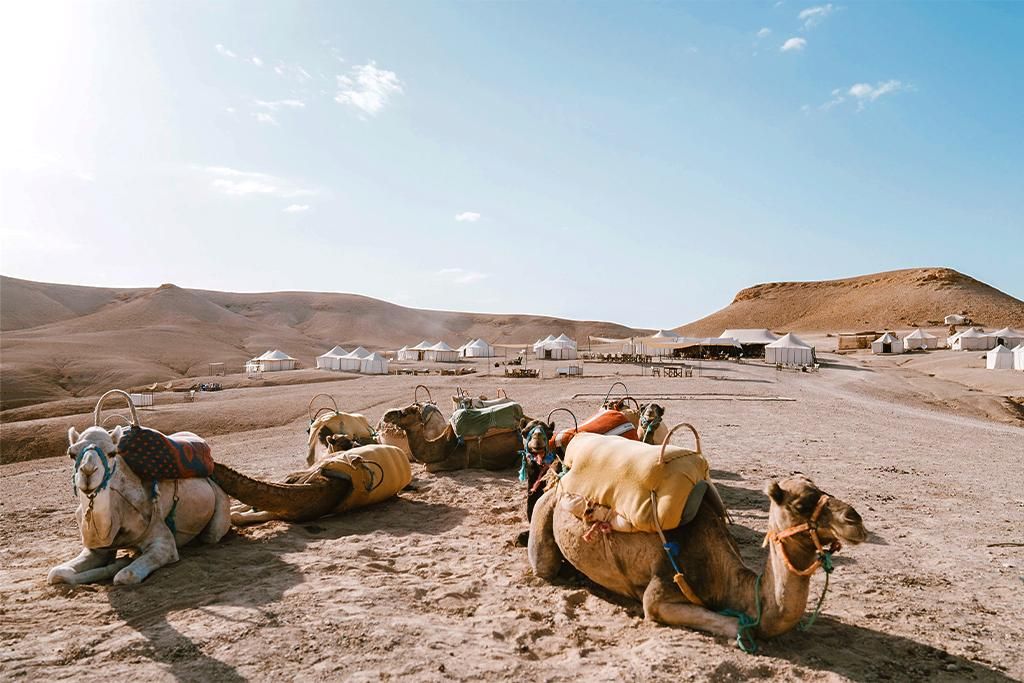 Circuit Marrakech et Expérience Unique au Désert d'Agafay 4* pas cher photo 11