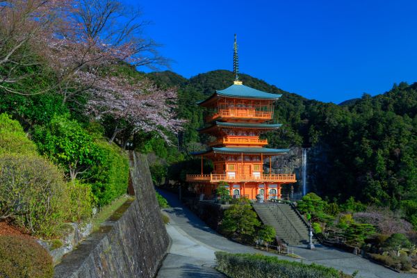 Circuit Au Coeur du Japon et 3 nuits Osaka-Kyoto 3* pas cher photo 14