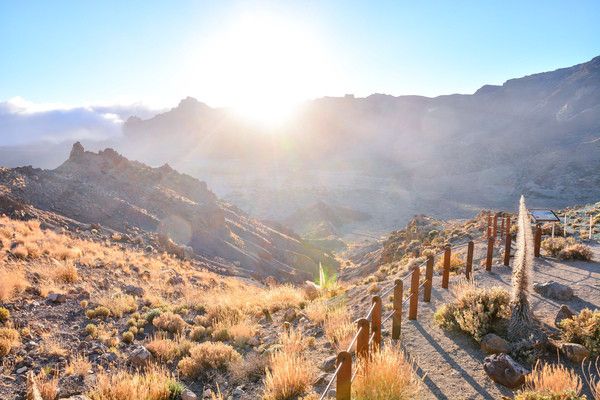 Circuit Randonnée entre Océan et Teide 4* pas cher photo 15